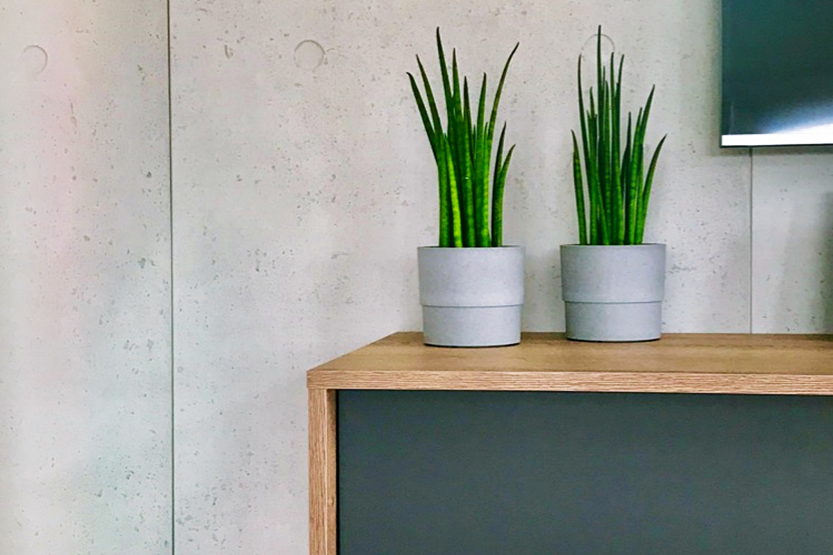 wood-design-referenzen-betonwand-sichtbeton-wohnzimmer-juli-2019-pflanze-auf-haengelowboard-weit-weg.jpg