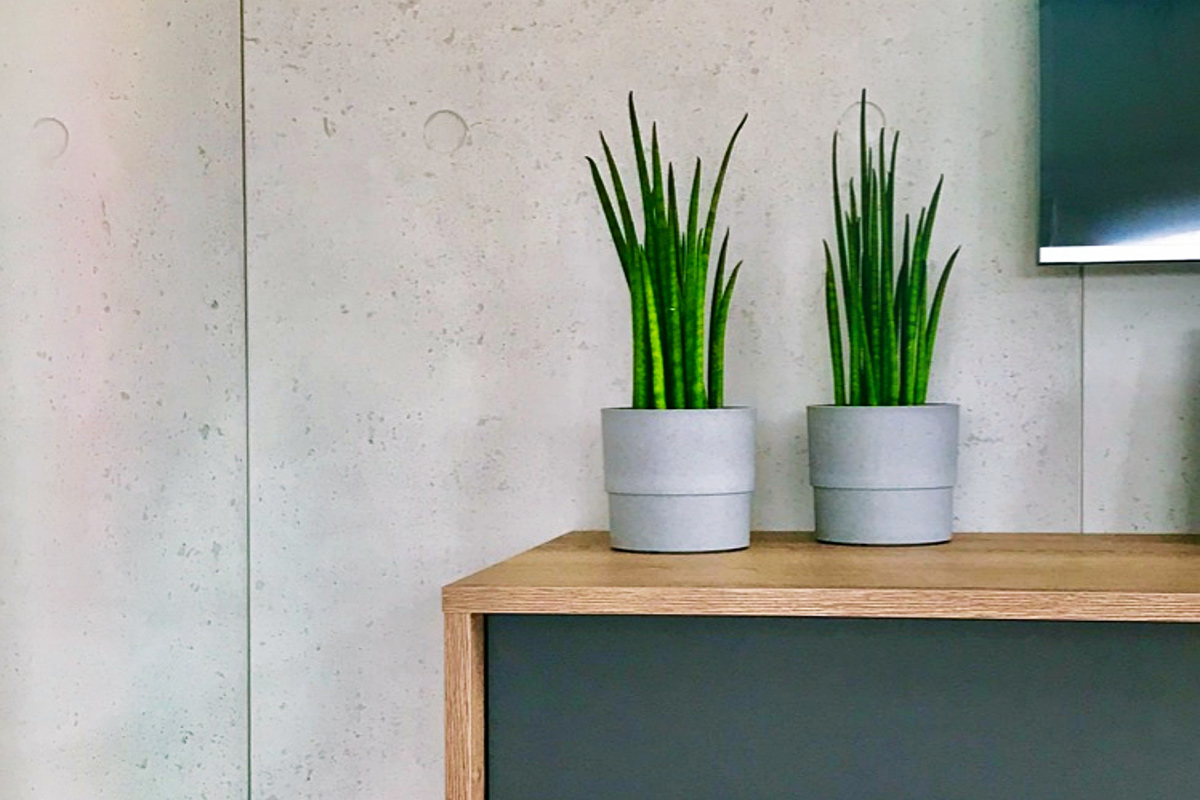 wood-design-referenzen-modernes-haengelowboard-nahaufnahme-ecke-mit-pflanzen.jpg