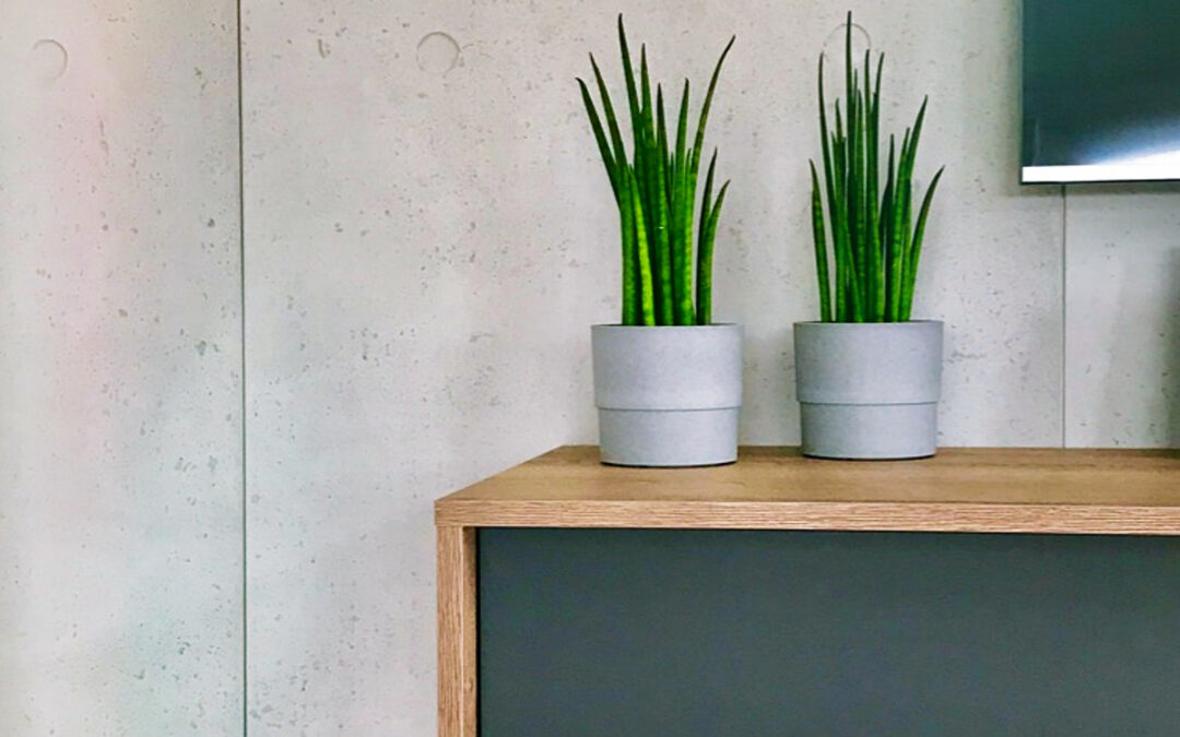 Betonwand Sichtbeton Wohnzimmer